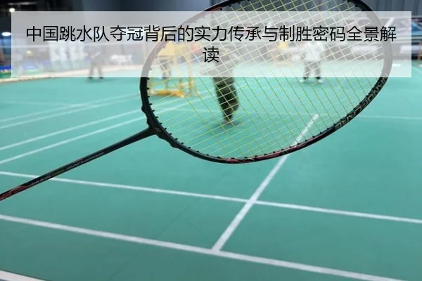 中国跳水队夺冠背后的实力传承与制胜密码全景解读